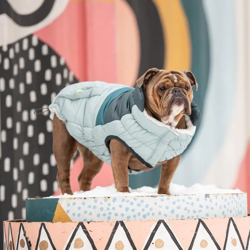 Retro Puffer Dog Coat - Light Blue